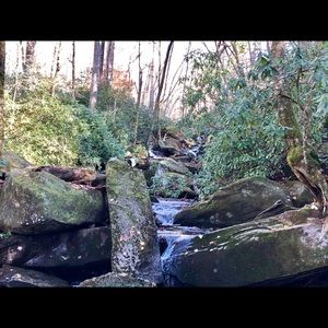 Meet your Posher, Denise